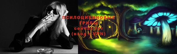 MESCALINE Аркадак