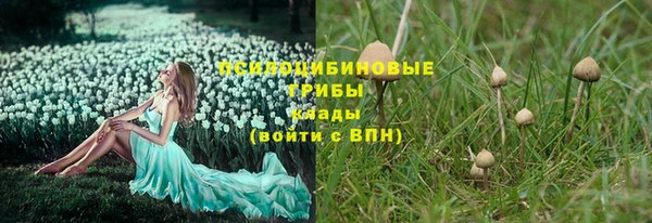 Альфа ПВП Армянск