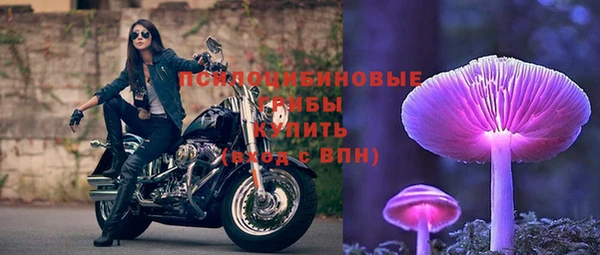 MESCALINE Аркадак