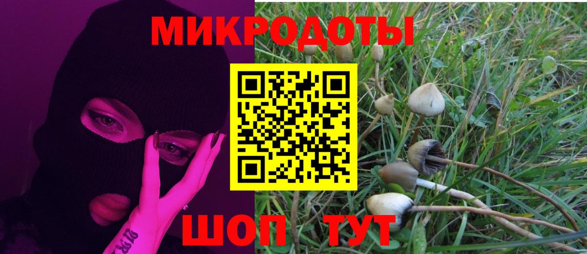 Можга  сколько стоит  Вход с VPN  Псилоцибиновые грибы Psilocybine cubensis 